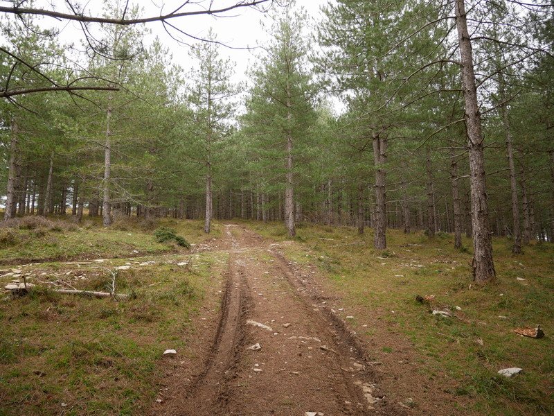 Hego-mendebaldeko bidea