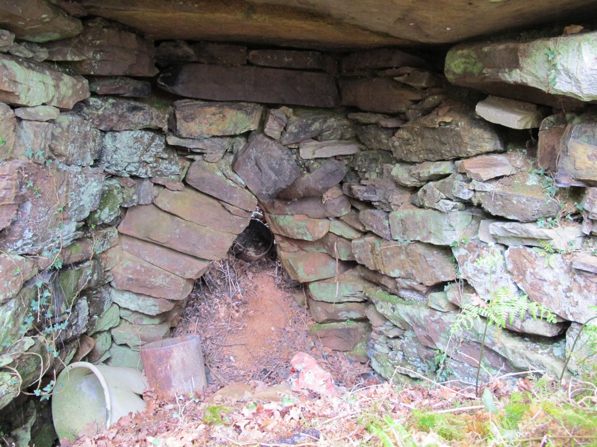 Urtsua karobia, Etxalar