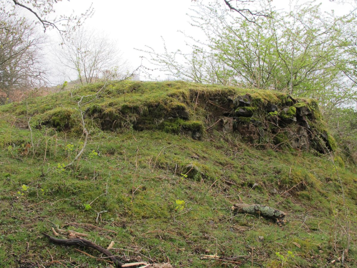 Urtsua karobia, Etxalar