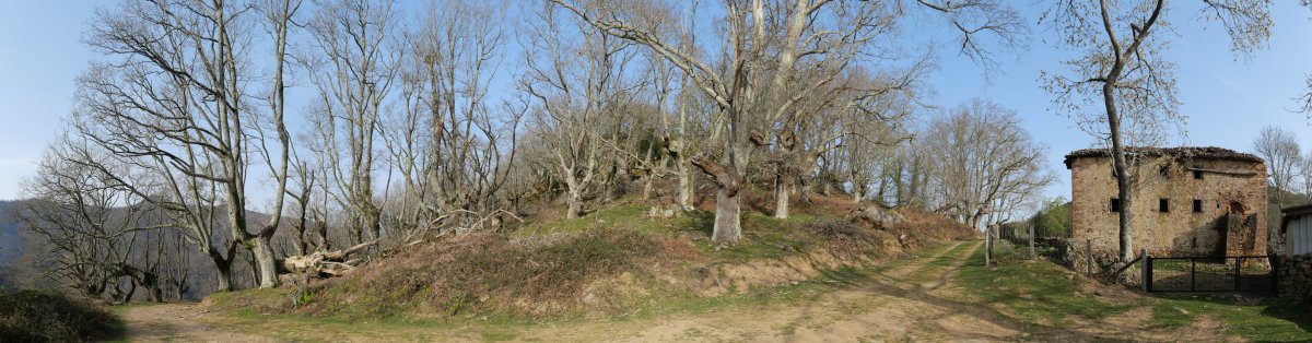 Bagarateko Harria, izen bereko lepotik