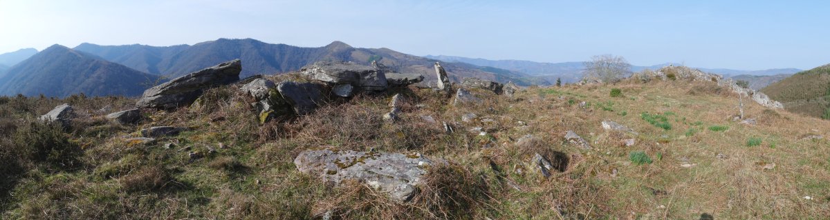 Gaineko Harrieta gaina