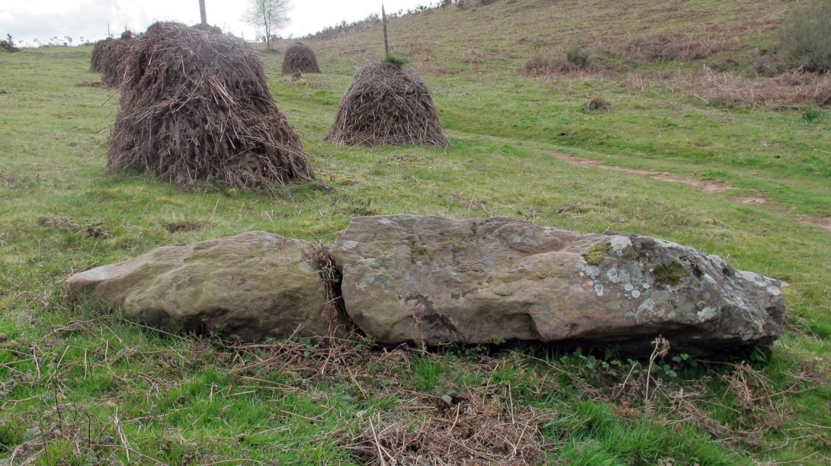Mizkiritzen borda 1 zutarria, Berro-Baztan