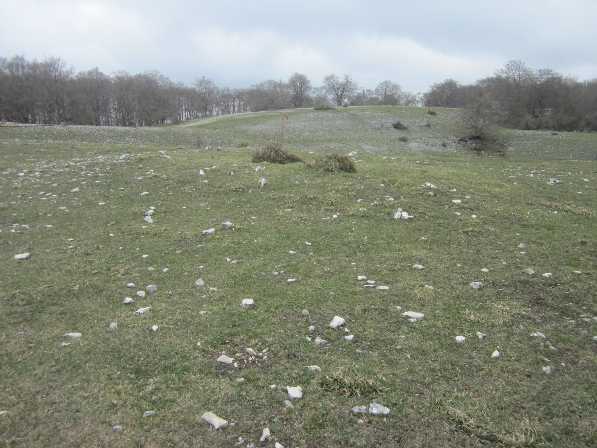 Túmulo Bardoitza VI (Abril 2022)