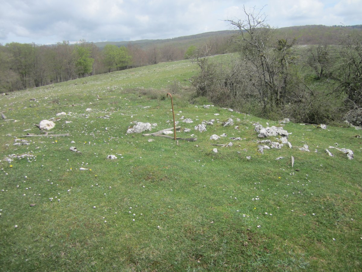 Túmulo Bardoitza IX (Abril 2022)