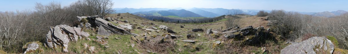 Zentinelako panoramika