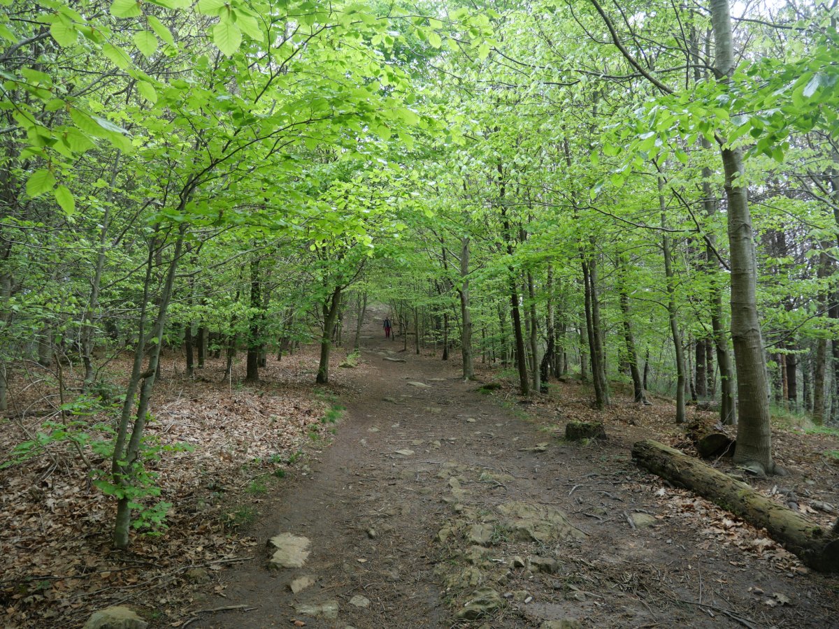 Belkoaingo gurutzera gerturatzen