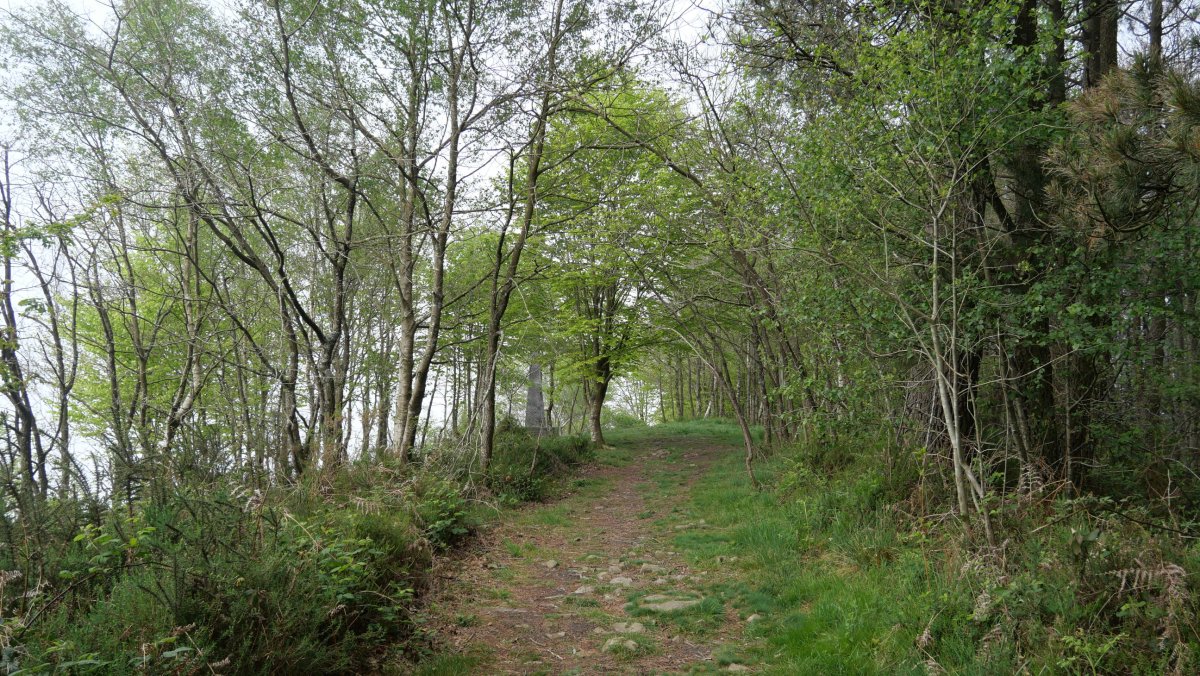 Azken metroak ekialdetik