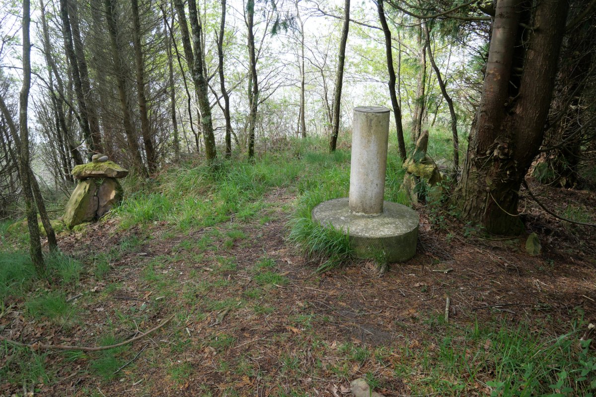 Erpin geodesikoa, Belkoain tontorrean