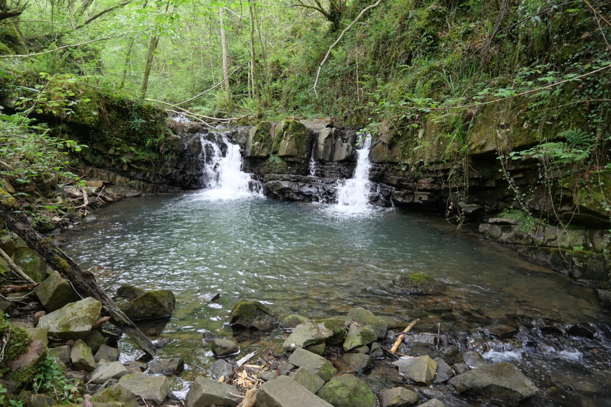 Zatxoeta erreka Atxulondo inguruan
