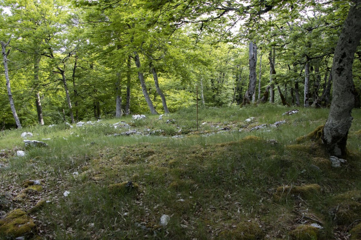 Alto de Basazelaia 2