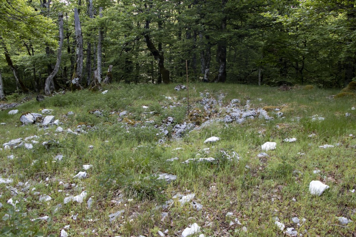 Alto de Basazelaia 2