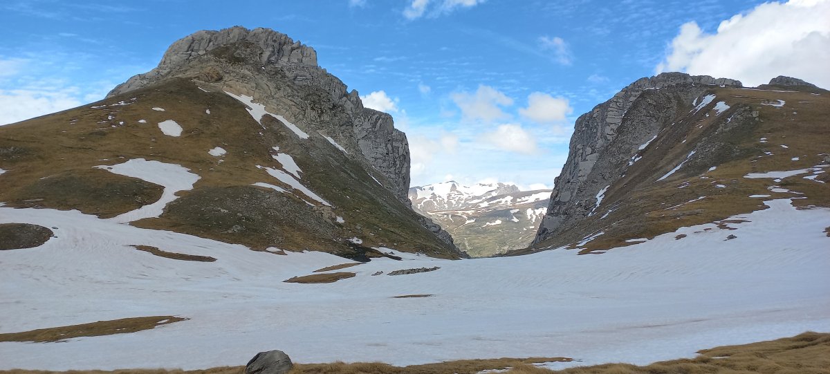 Taxeras pasabidea gainaldetik