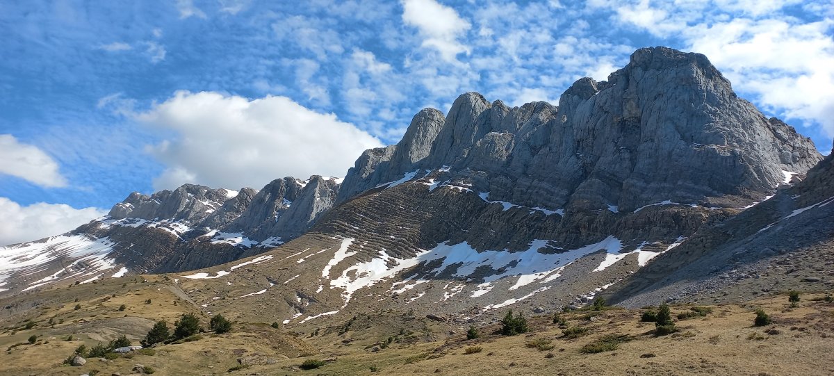 Alanoak mendizerra arratsaldean
