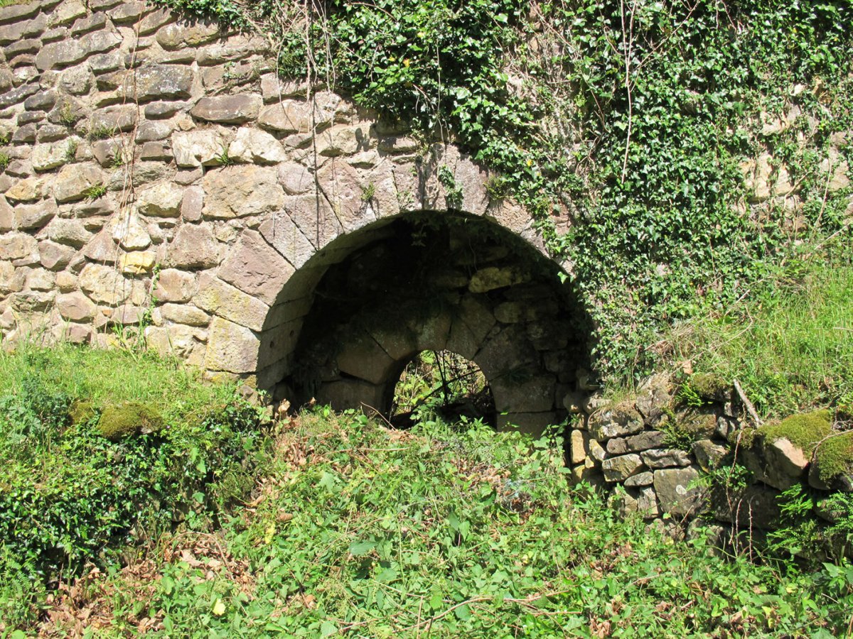 Arrosenea karobia, Arizkun-Baztan