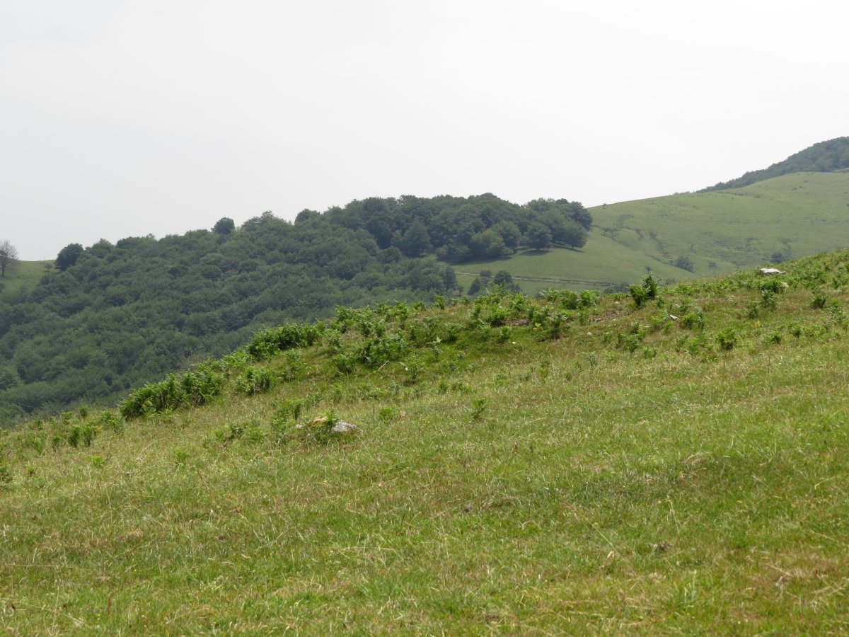 Fondo de cabaña ARKAUN IV