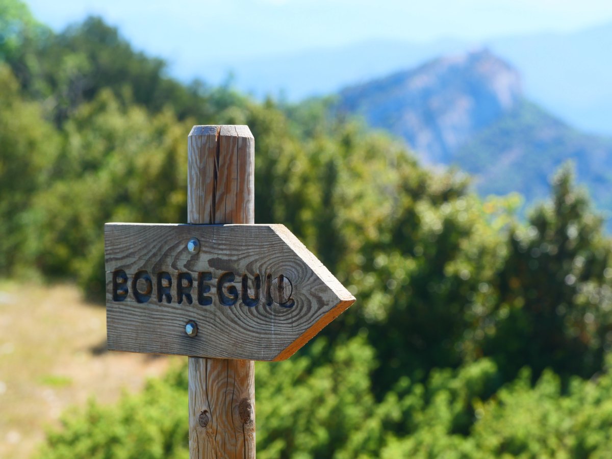 Letrero dotore batzuk erakusten dute bidea hainbat lekutan