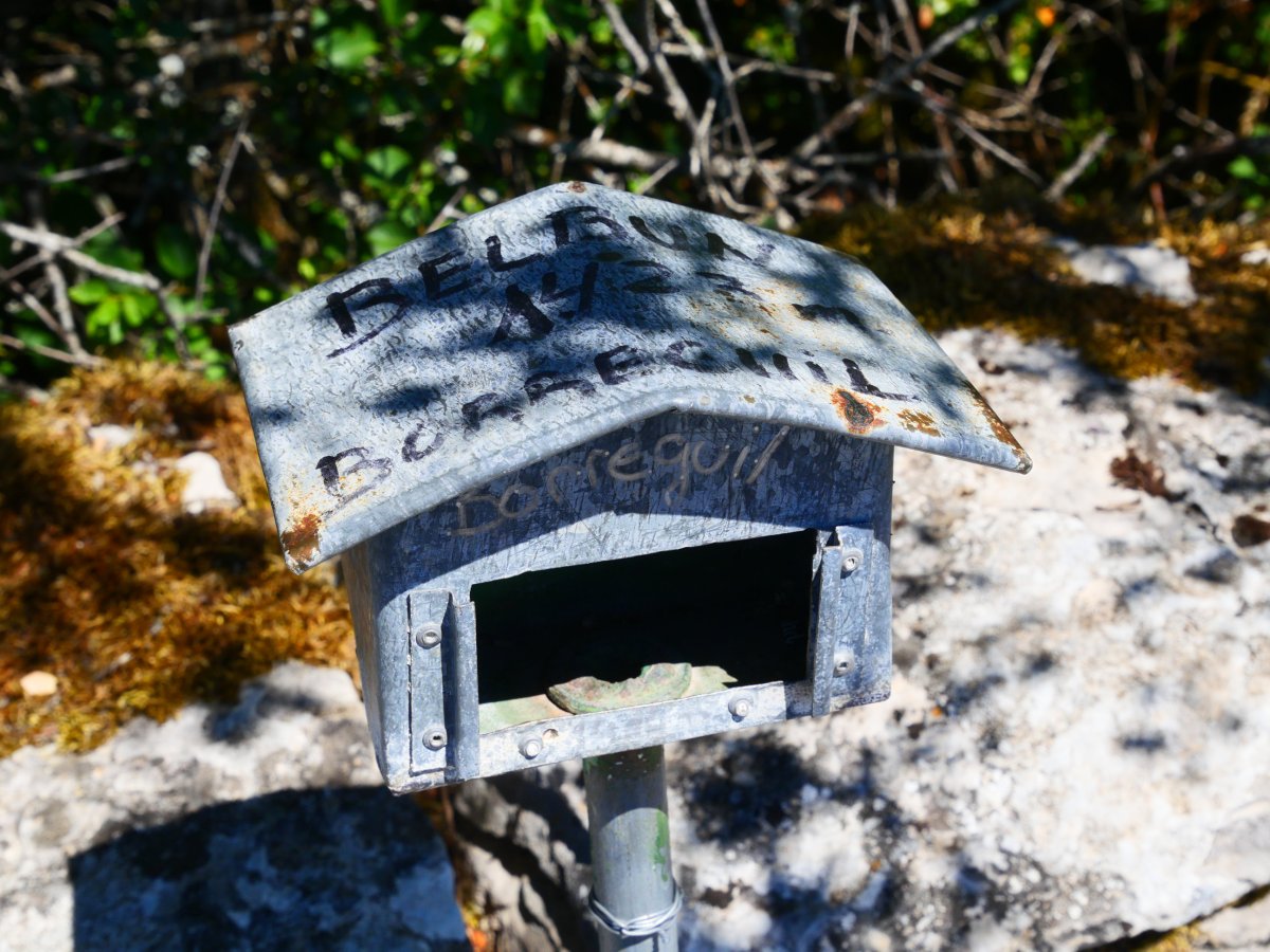 Txartelontzia, Borreguil