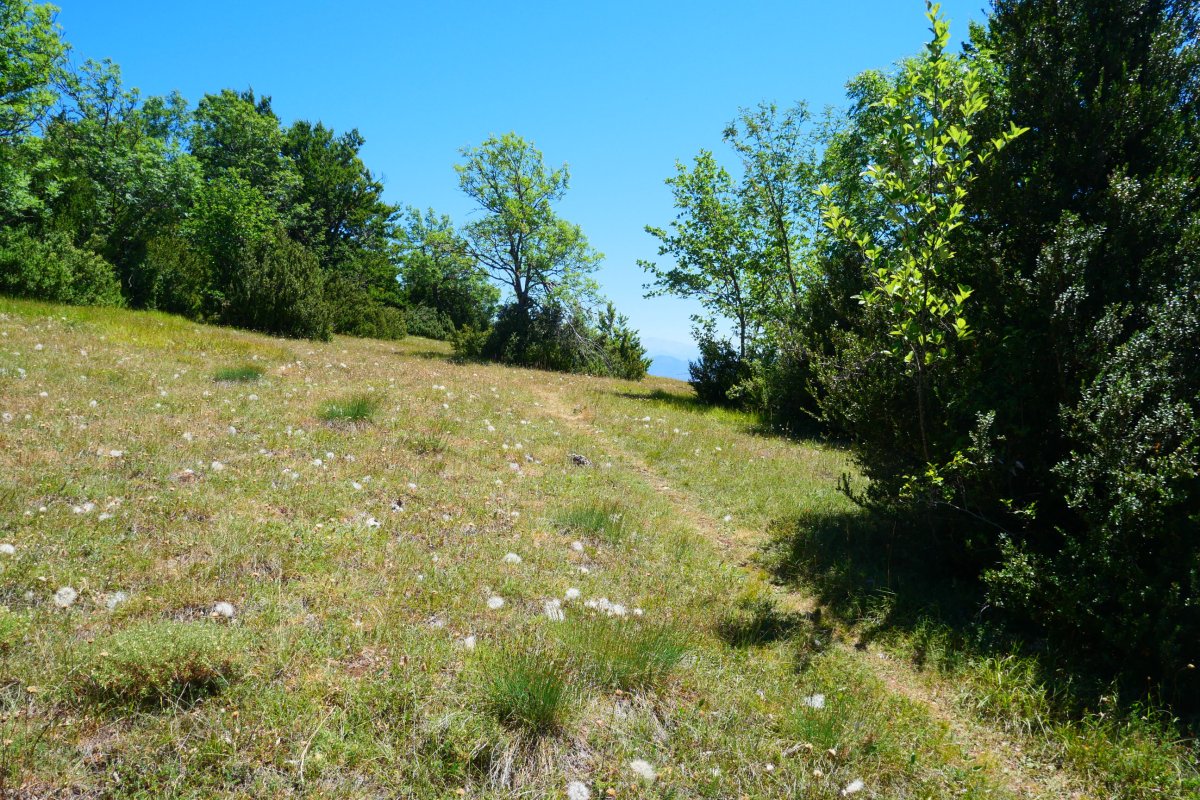 Mendebaldetik igotzen den bideko azken txanpa, Borreguil