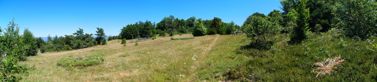 Tontorraren inguruko larre eremua, Borreguil