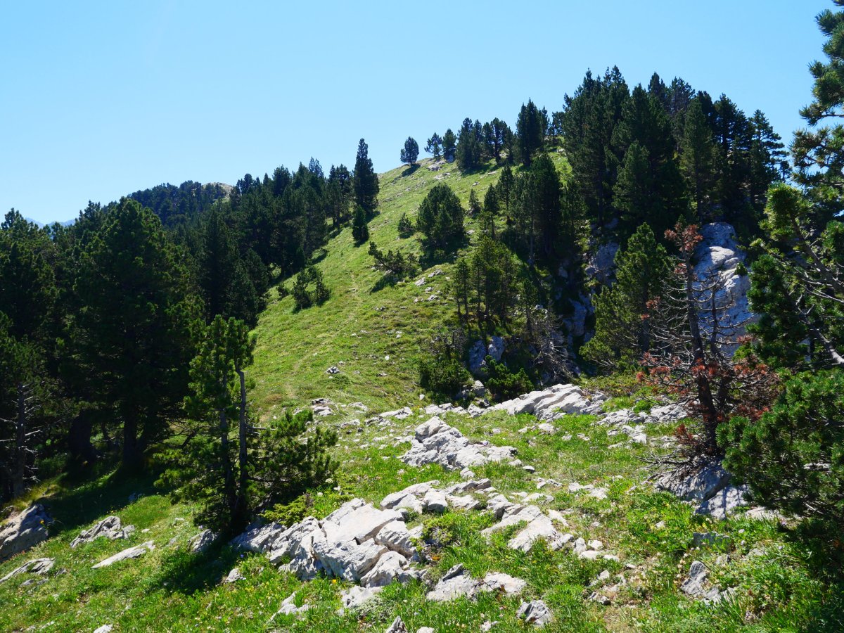 Mendebaldeko bizkarreko pasarte bat, Lapazarra