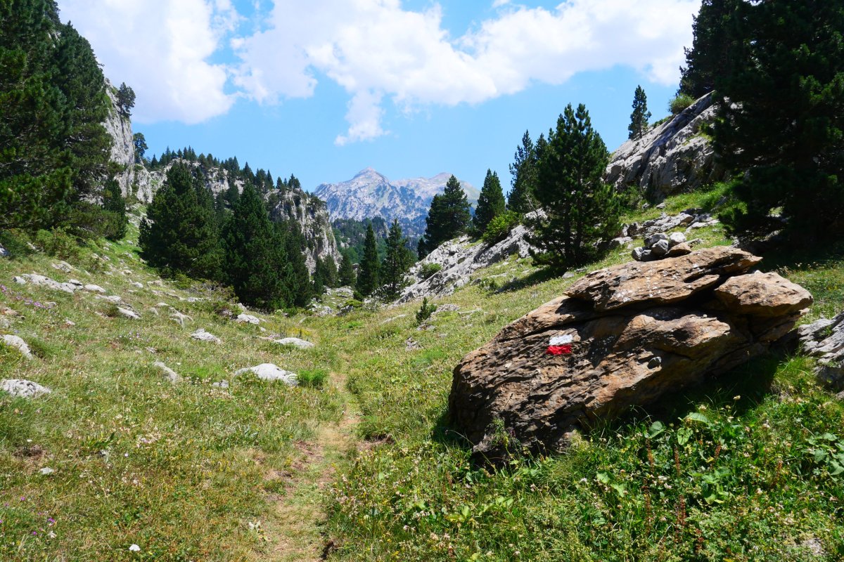 GR bidea Larreria lepoaren inguruan