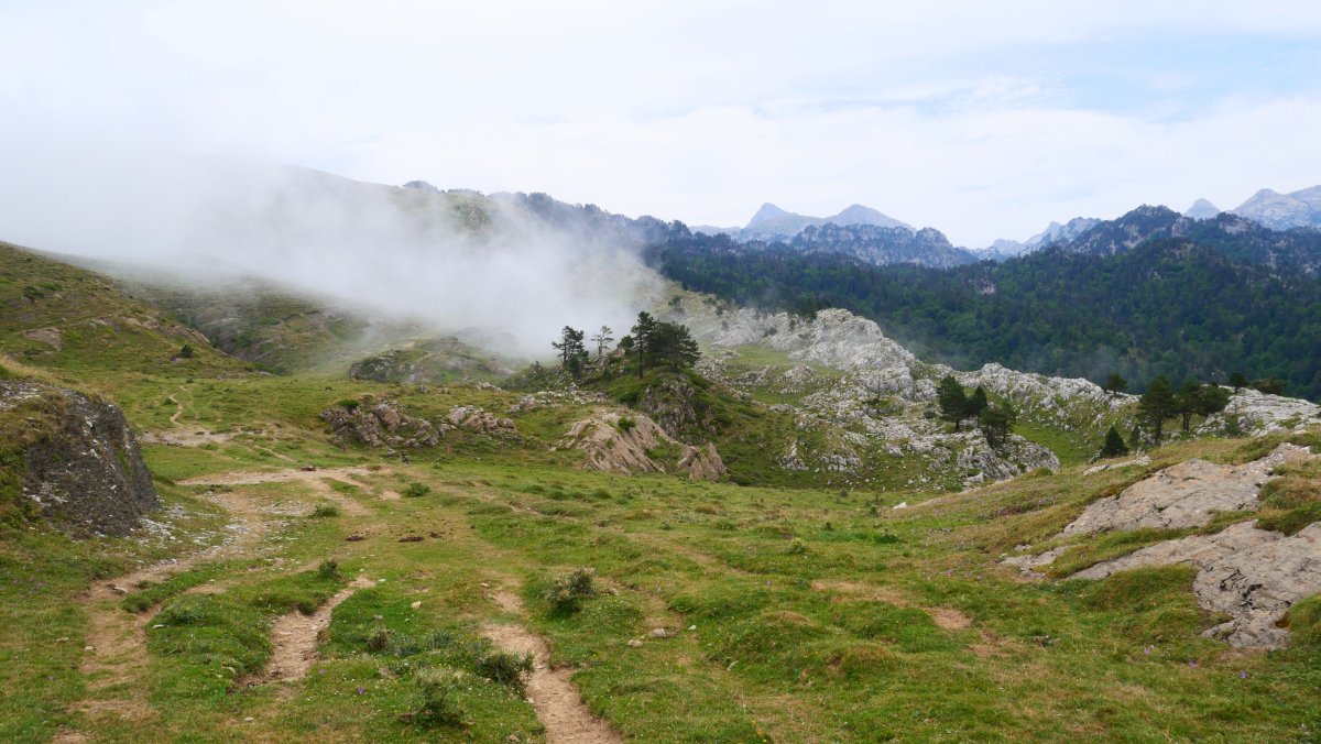 Erraizetik jaisten den lanbro isuria