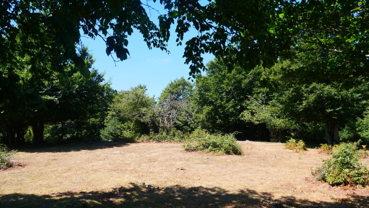 Lerdengibel gailurra