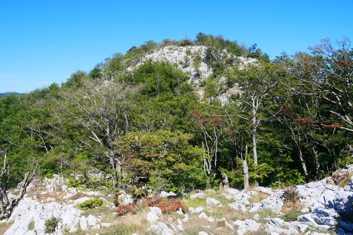 Eguerdimuño, ekialdeko lepotik