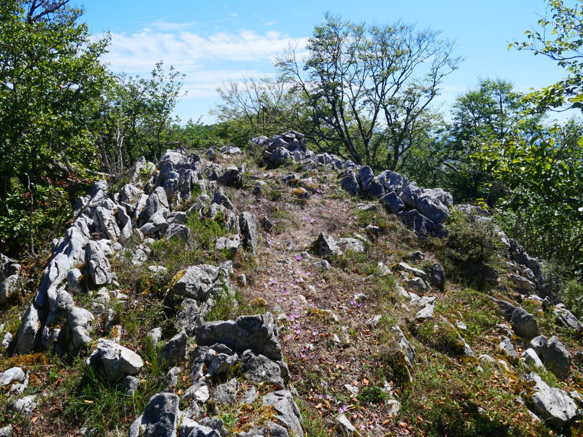 Tontorra, Eguerdimuño