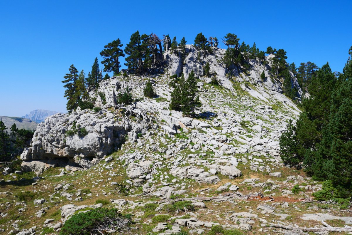 Tontorrera gerturatzen