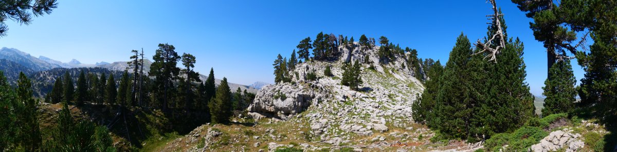 Tontorrera gerturatzen