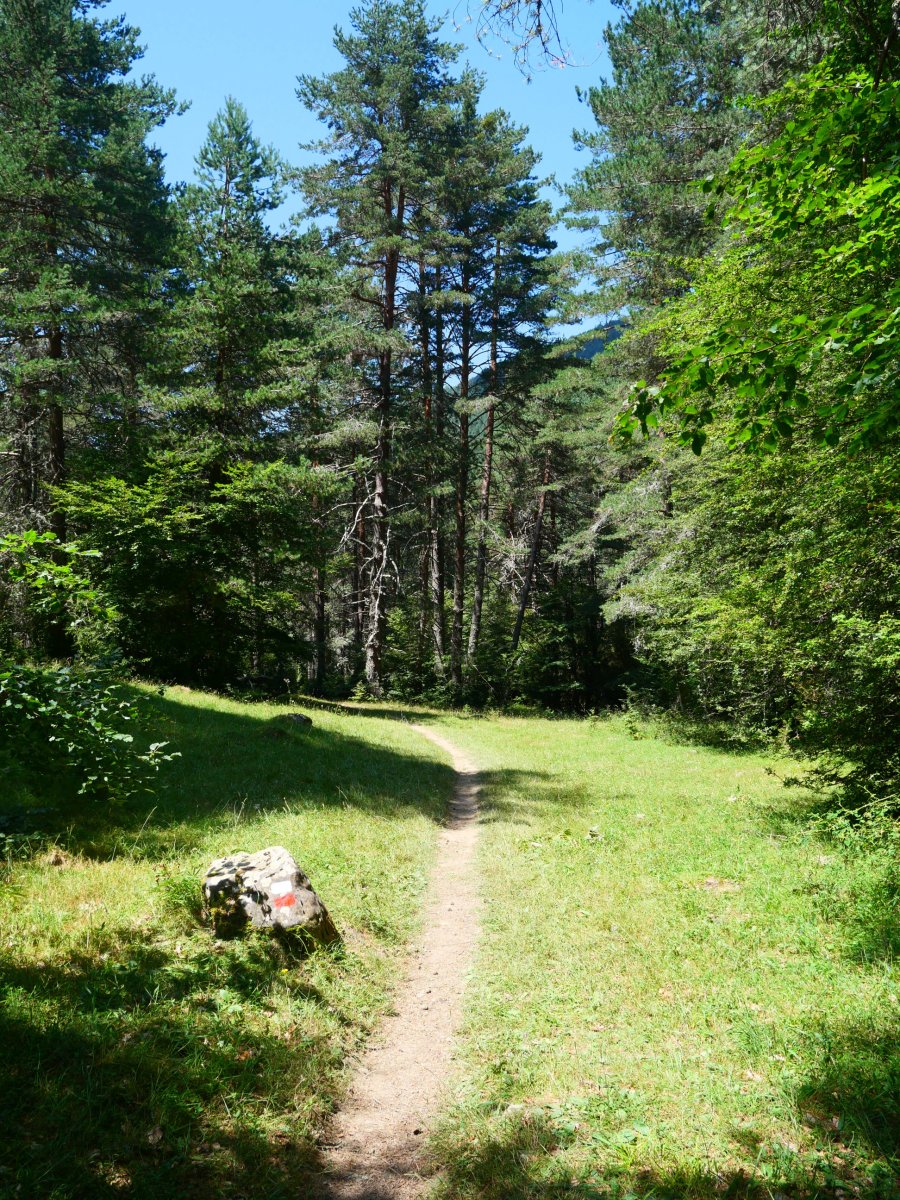 GRaren arrastoan, Belabartzera bidean