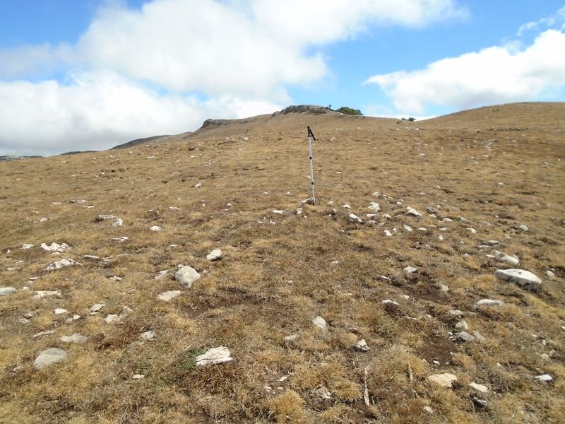 peña elordia tumulua