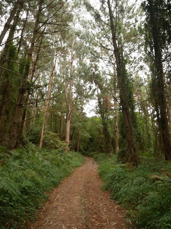 Mendigainera igotzen den bidea