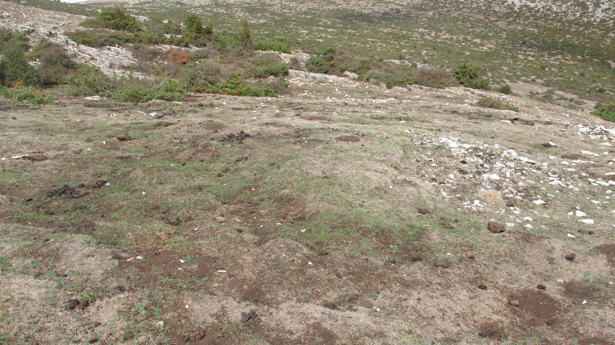 Alzemear 4 etxola hondoa, Andia