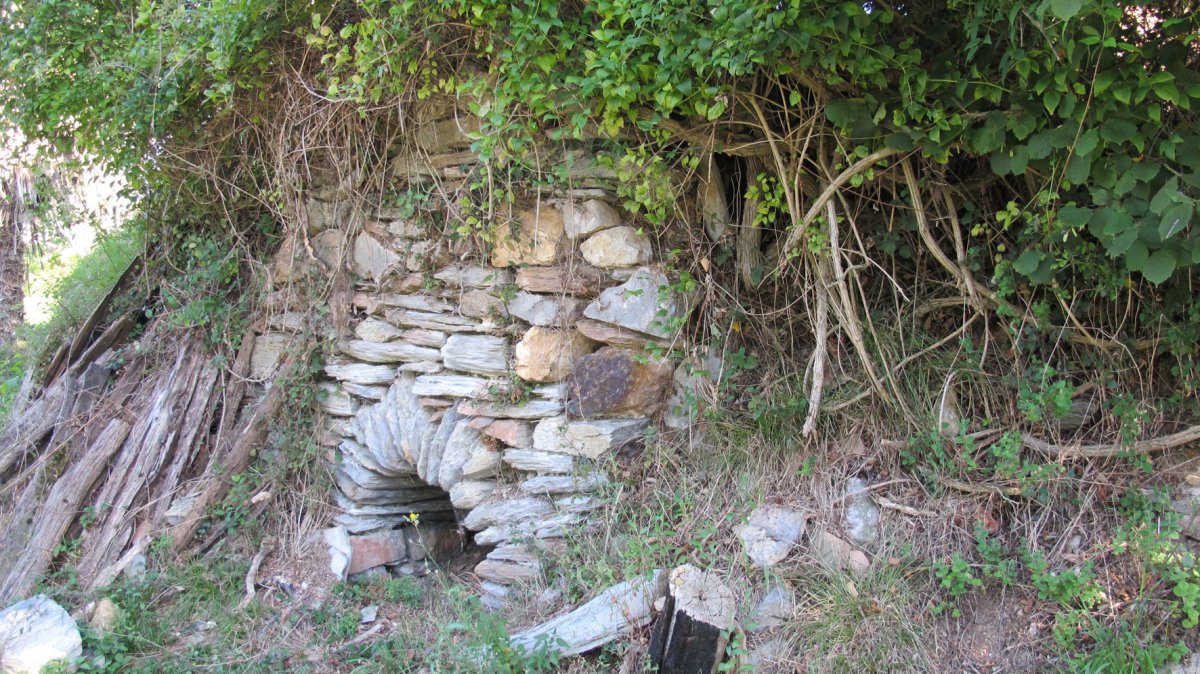 Dornaku karobia, Bera