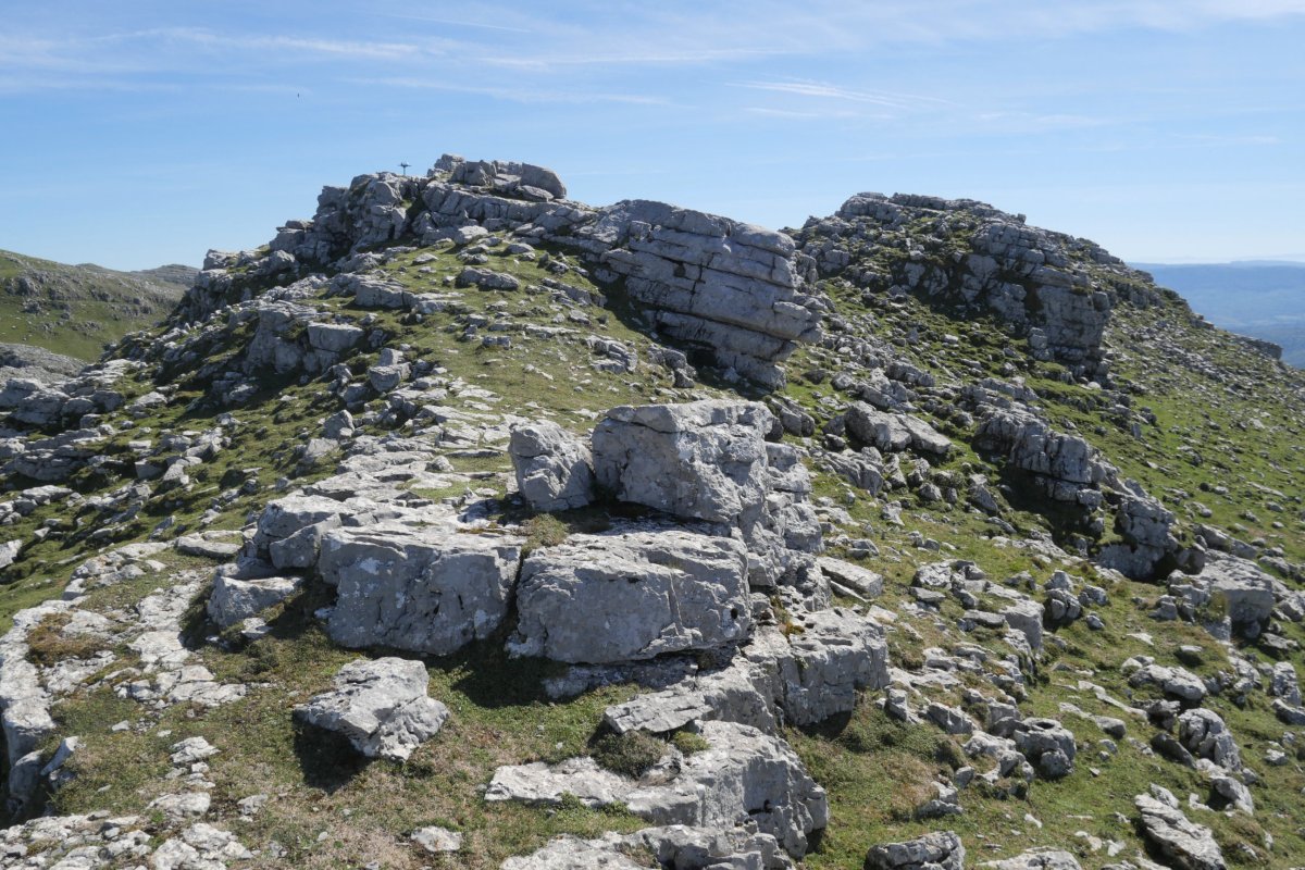 Tontorra, Ganboatxiki