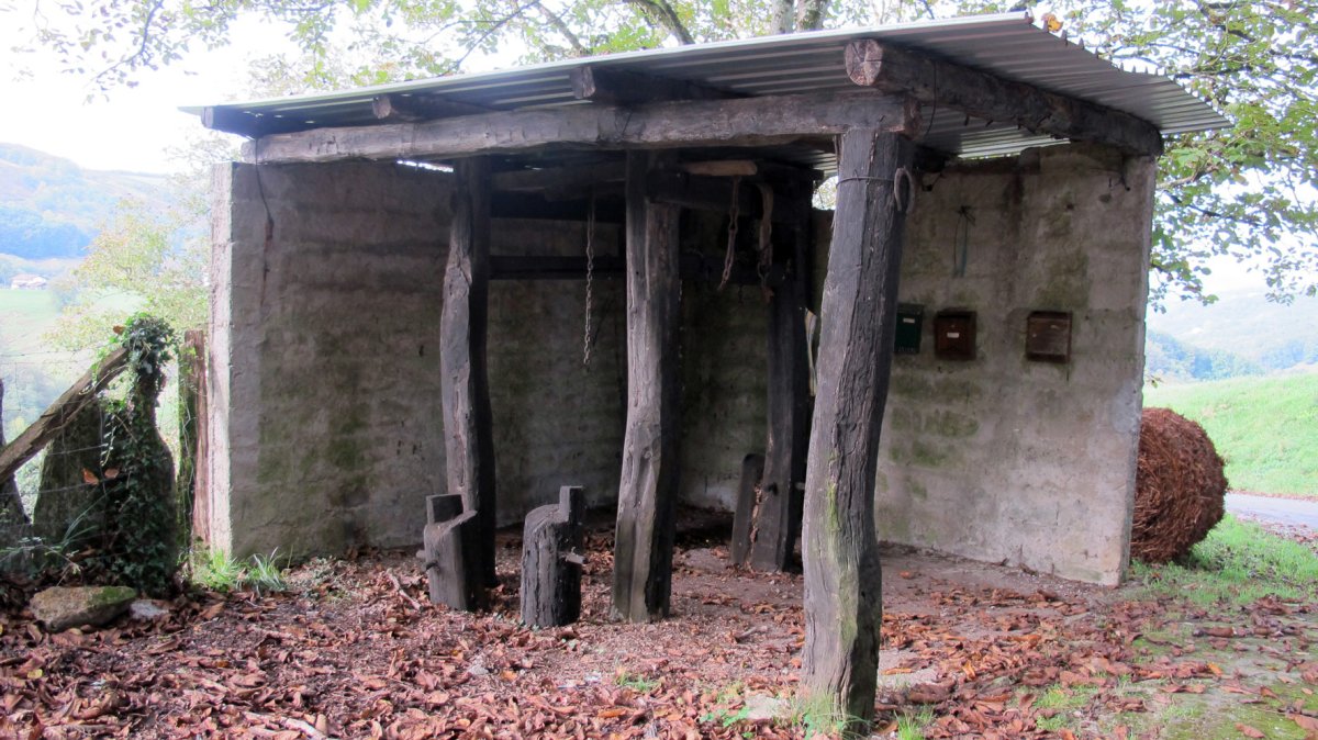 Perratokia, Alkegi-Bera