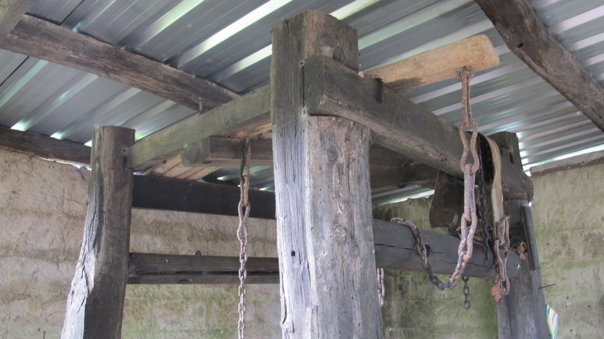 Perratokia, Alkegi-Bera