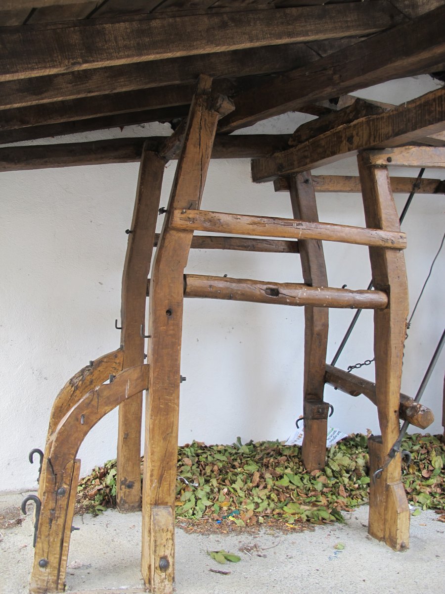 Perratokia, Irañeta