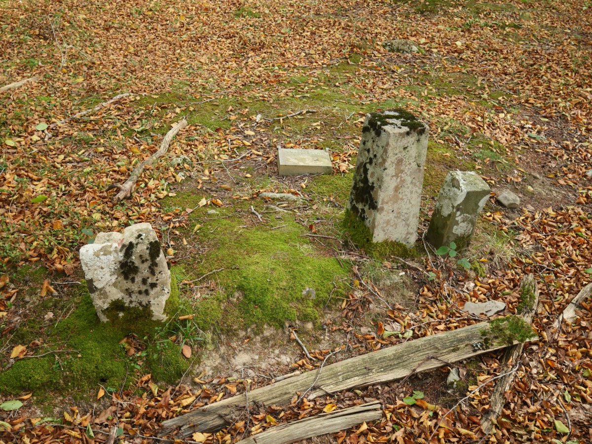 Txartelontzia eta mugarriak, Malkorburu