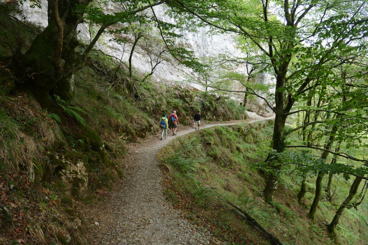 Lizarrustik aldeko bideko pasarte bat