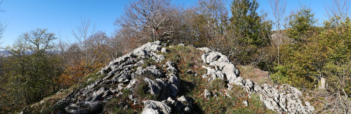 Dornaots haitza, ekialdean