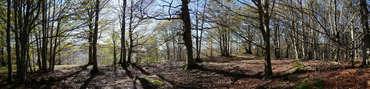 Beste gain apalago bat, ekialdean