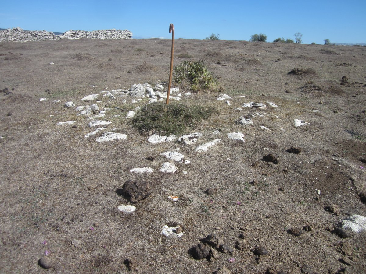 Túmulo El Ginebral* (Septiembre 2022)