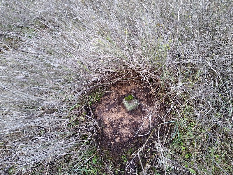 Tako geodesikoa gailurrean