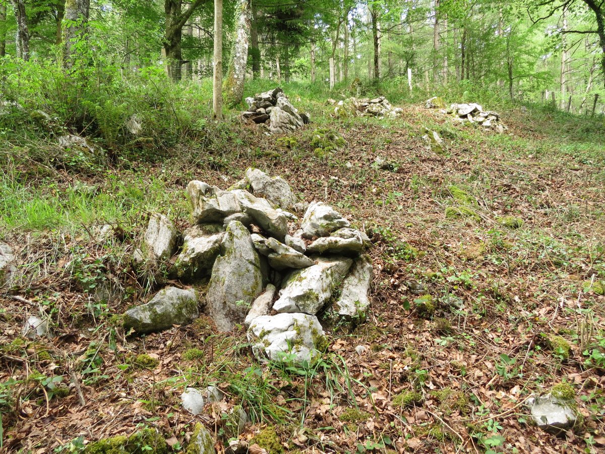 Campo tumular ARTEGIETA