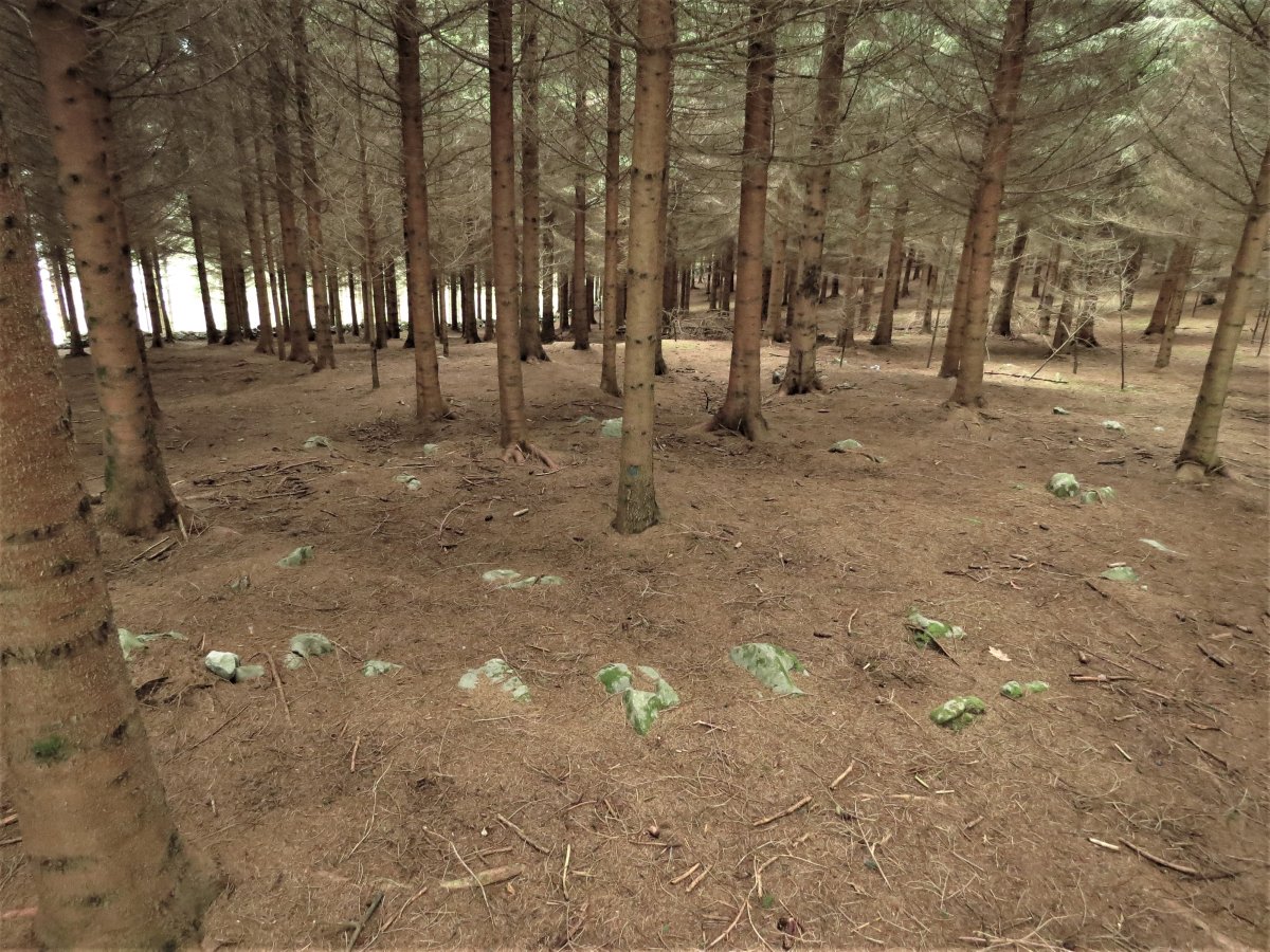 Campo de crómlech AITZOLA