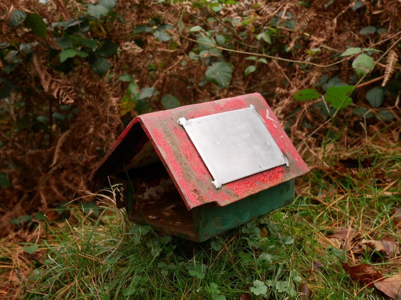 Lapurzuloko txartelontzia