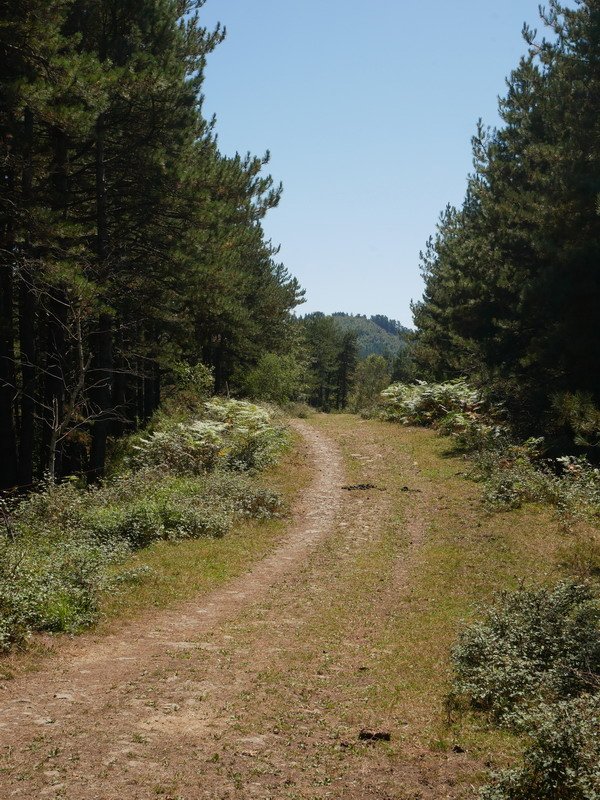 Arrastaleku eta Ganeta arteko mendigaina